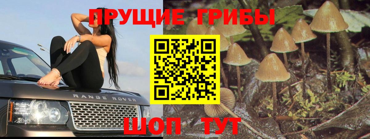 Галлюциногенные грибы Psilocybe  Вход с VPN  Белебей 